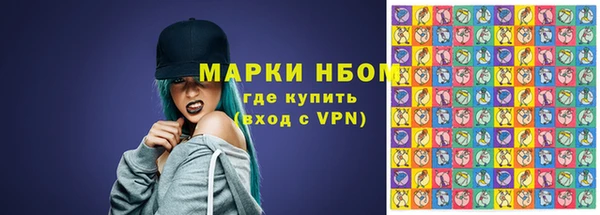 индика Алексеевка