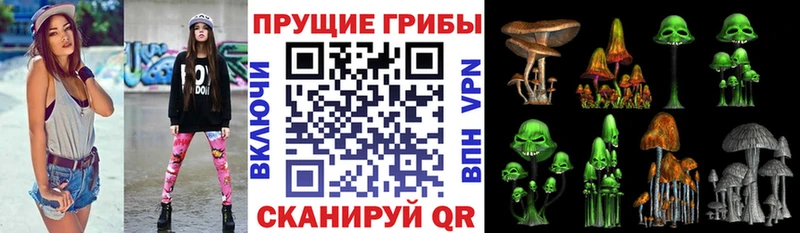 darknet как зайти  Суровикино  Галлюциногенные грибы MAGIC MUSHROOMS 
